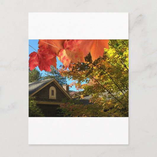 古い納屋の葉はがき ポストカード (正面)