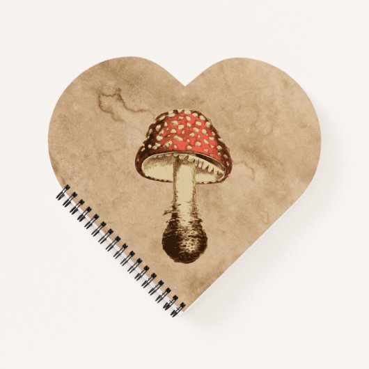 古い紙 ノートブック (正面)