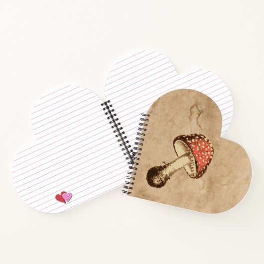 古い紙 ノートブック (内部)