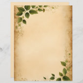 古い紙(緑離れ) レターヘッド (正面/裏面)