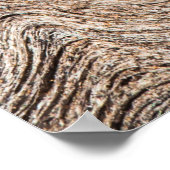 古い素朴木材、テクスチャ付きの背景 ポスター (角)