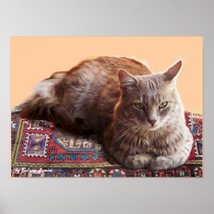 古い絨毯に座るトルコの猫 ポスター