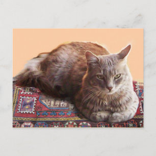 古い絨毯に座るトルコの猫 ポストカード