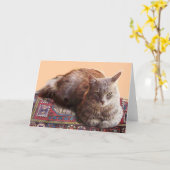古い絨毯の上に座るトルコ猫 カード (黄色い花)