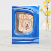 古い考える青い車の中の君の – ビション・フリーズ犬 カード (黄色い花)