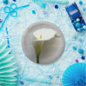 古い脚本にキャラリリー ペーパープレート (パーティー)