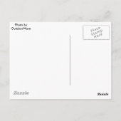 古い色のオートバイの写真 ポストカード (裏面)