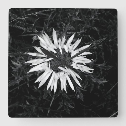 古い花 スクエア壁時計 (正面)