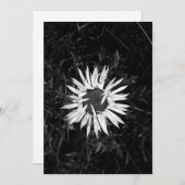 古い花 招待状 (正面/裏面)