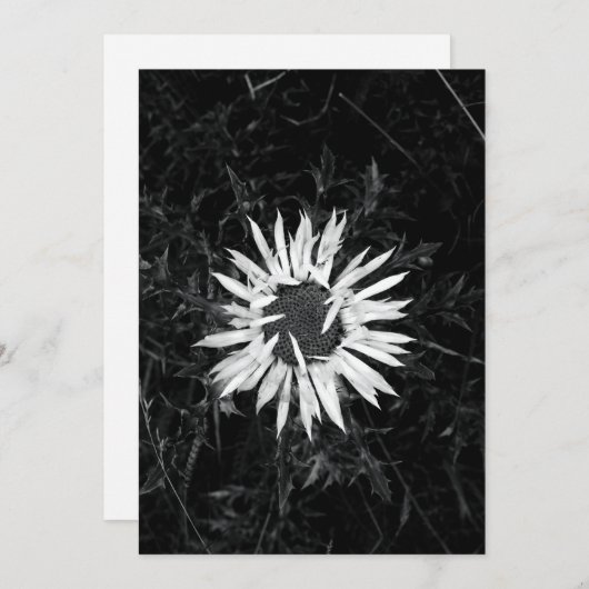 古い花 招待状 (正面/裏面)