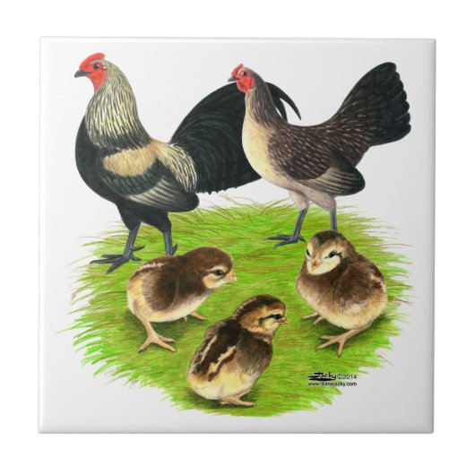 古い英国の小型のブラッシーの背部家族 タイル (正面)