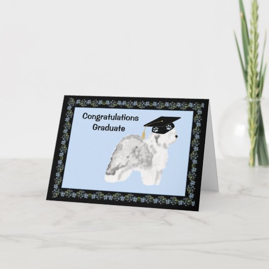 古い英国の牧羊犬の卒業 カード (正面)