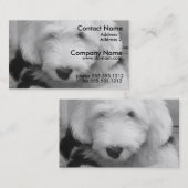 古い英国の牧羊犬の名刺 名刺 (正面/裏面)