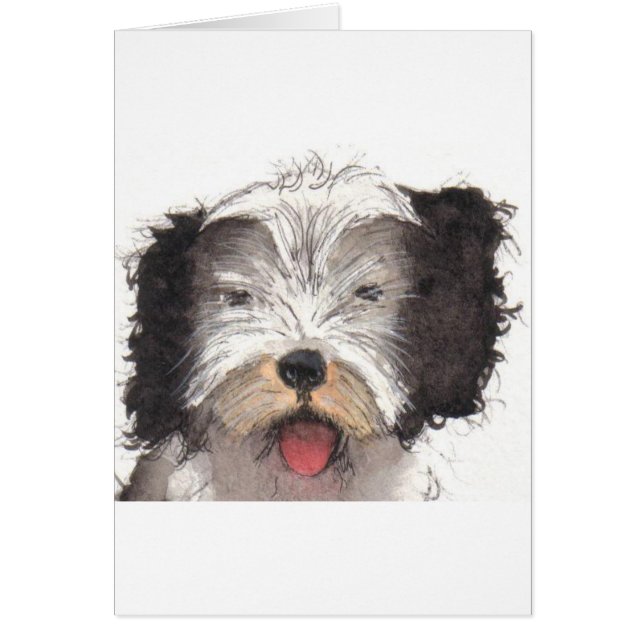 古い英国の牧羊犬の子犬 (正面)