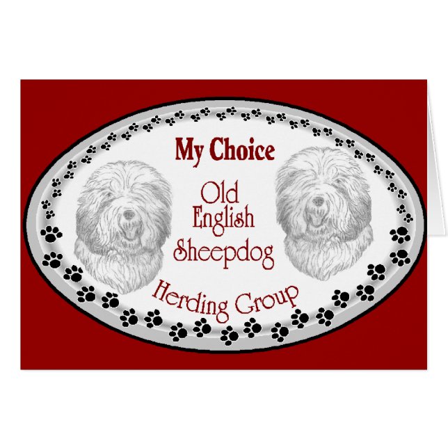 古い英国の牧羊犬の贈り物 (正面横)