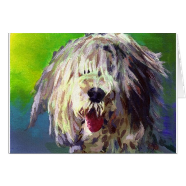 古い英国の牧羊犬 (正面横)