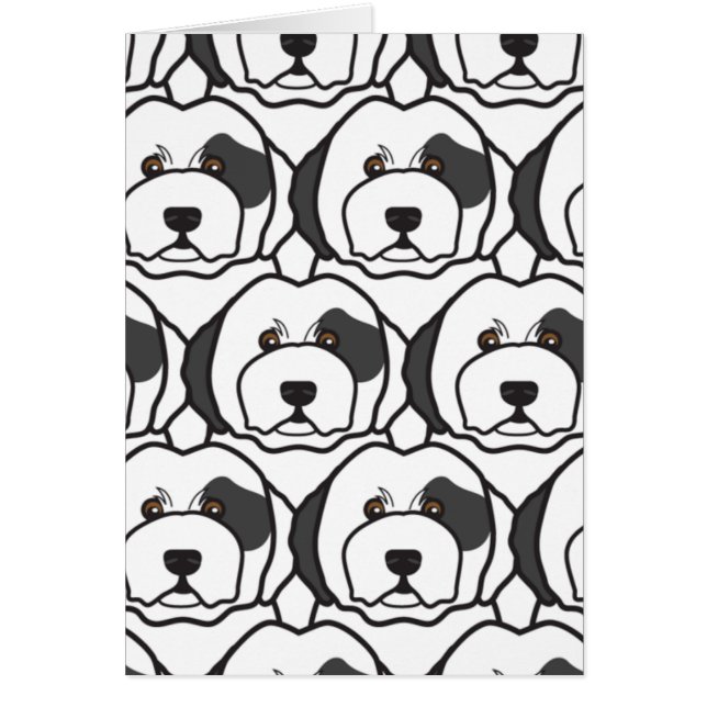 古い英国の牧羊犬 (正面)