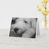 古い英国の牧羊犬 カード (黄色い花)