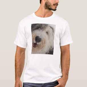 古い英国の牧羊犬-雪の顔のTシャツ Tシャツ