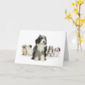 古い英語のシープドッグのグリーティングカード カード (黄色い花)