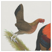 古い英語ゲームのバンタム： BB赤ペア ファブリック (クローズアップ)