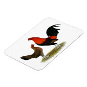 古い英語ゲームのバンタム： BB赤ペア マグネット (左側)