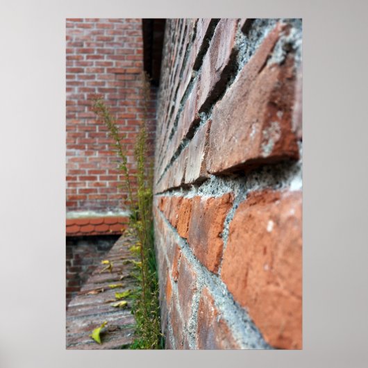 古い街壁 ポスター (正面)