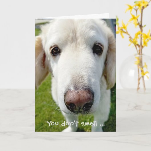 古い誕生日のユーモアの犬の鼻を取得する カード (黄色い花)