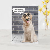 古い誕生日ゴールデンレトリバーの取得 カード (黄色い花)