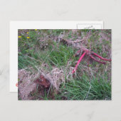 古い赤い自転車のポストカード ポストカード (正面/裏面)