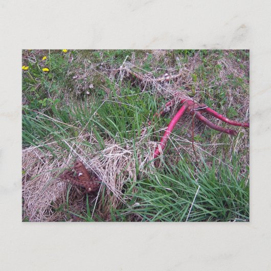 古い赤い自転車のポストカード ポストカード (正面)