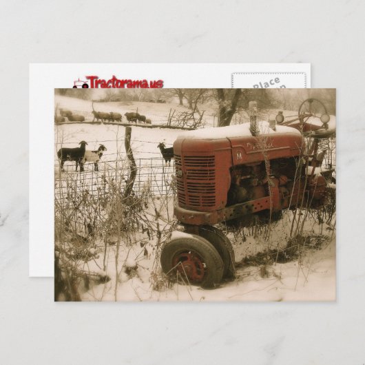 古い赤トラクターとヤギのクリスマスポストカード シーズンポストカード (正面/裏面)