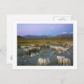 「古い透かし」 ポストカード (正面/裏面)