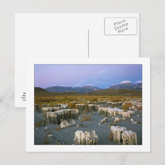 「古い透かし」 ポストカード (正面/裏面)