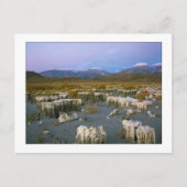 「古い透かし」 ポストカード (正面)