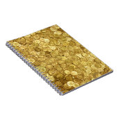 古い金ゴールドコインコレクション ノートブック (右側)