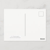 古い錆ついたバケツのライラック ポストカード (裏面)