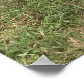 古い錆びたトラック ポスター (角)