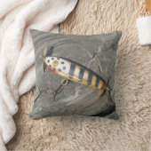古い魚釣りルアーで湖の矢印 クッション (ブランケット)