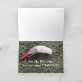 古い魚釣りルアーズ誕生日カード カード (内部)