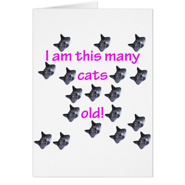 古い18の猫の頭部 (正面)