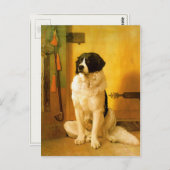 古い1852犬のプリント付き絵画はがき ポストカード (正面/裏面)