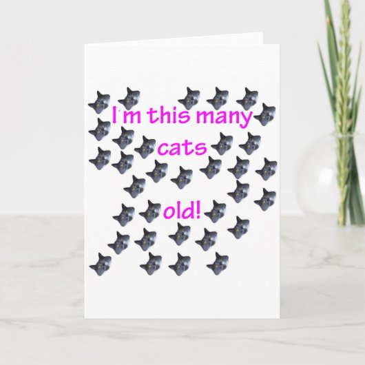 古い33の猫の頭部 カード (正面)