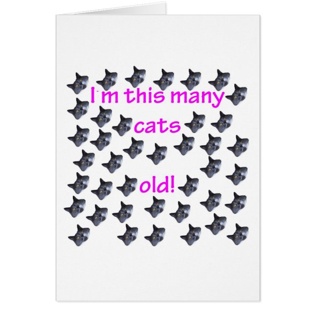 古い40の猫の頭部 (正面)