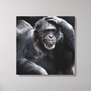 古いChimpanzeeキャンバス印刷 キャンバスプリント