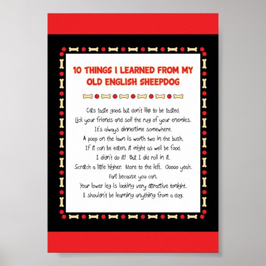 古おもしろいい英学語の種 ポスター (正面)