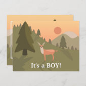 「古おもしろいい」ホワイトテール・バック・ベビー  案内ポストカード (正面/裏面)