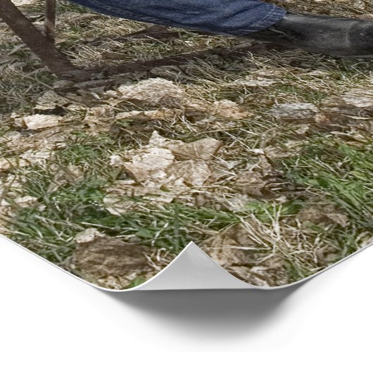 古きカーティス ポスター (角)