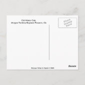 古き冬の樺 ポストカード (裏面)