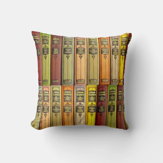 古くならない – 枕 (正面)